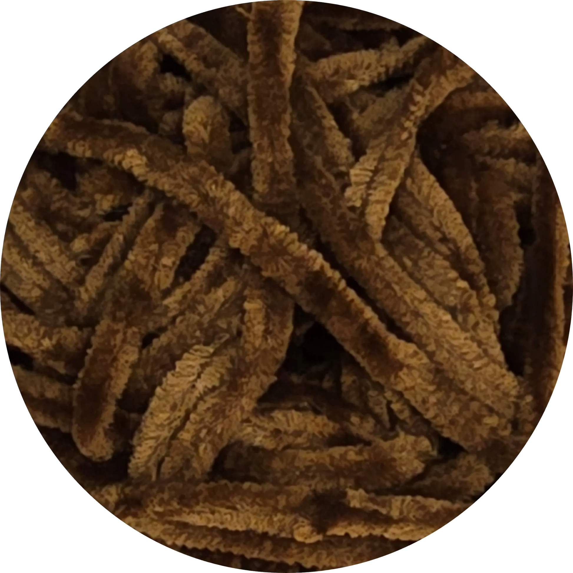 Chenille Wenzo marrón de La Madeja. Suavidad aterciopelada para tus creaciones.